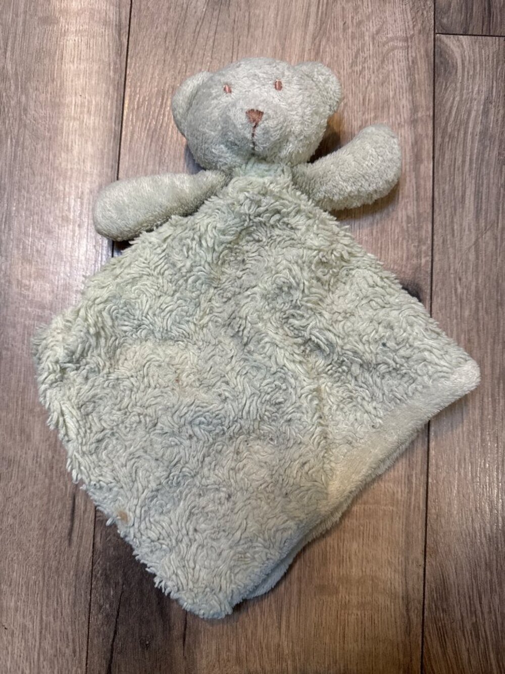 Blankets & Beyond LOVED Green Teddy Bear Security Blanket Lovey Plush 18"x18" Pr